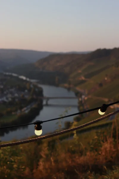 Die Trittenheimer Moselschleife in der Abendsonne